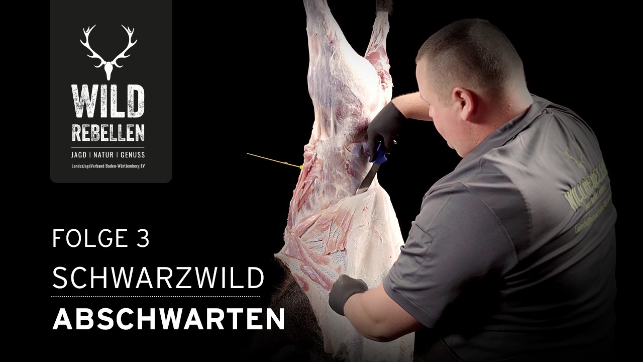 Schwarzwild-Tutorial (3/5): Abschwarten