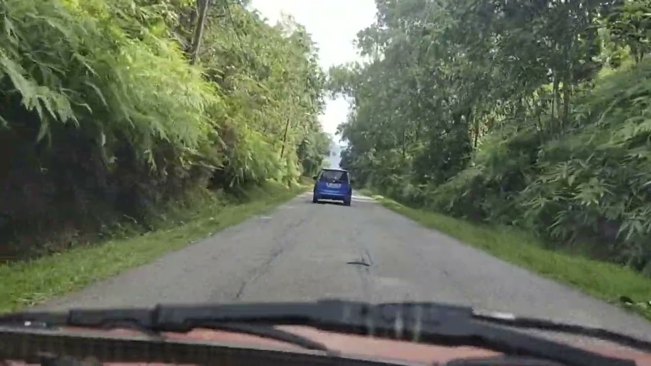 GUIDE JALAN MASUK KE LATA KASHMIR JELI