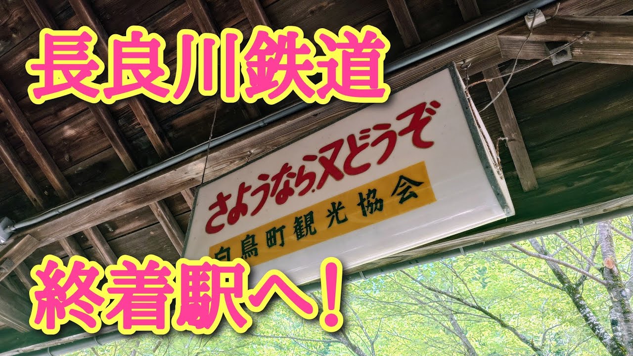 岐阜県の旅！🐸初めての長良川鉄道🚃！食堂もあるョ🍜✨