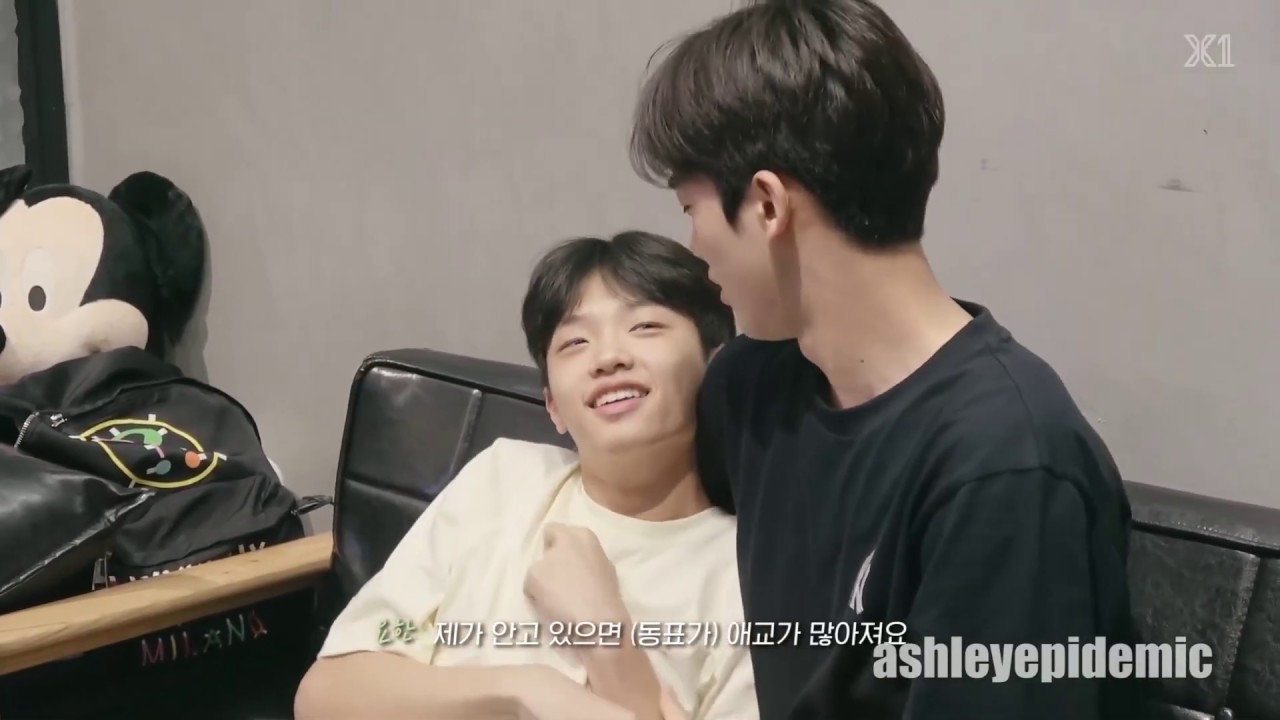 Hanpyo The Cutest Roommates