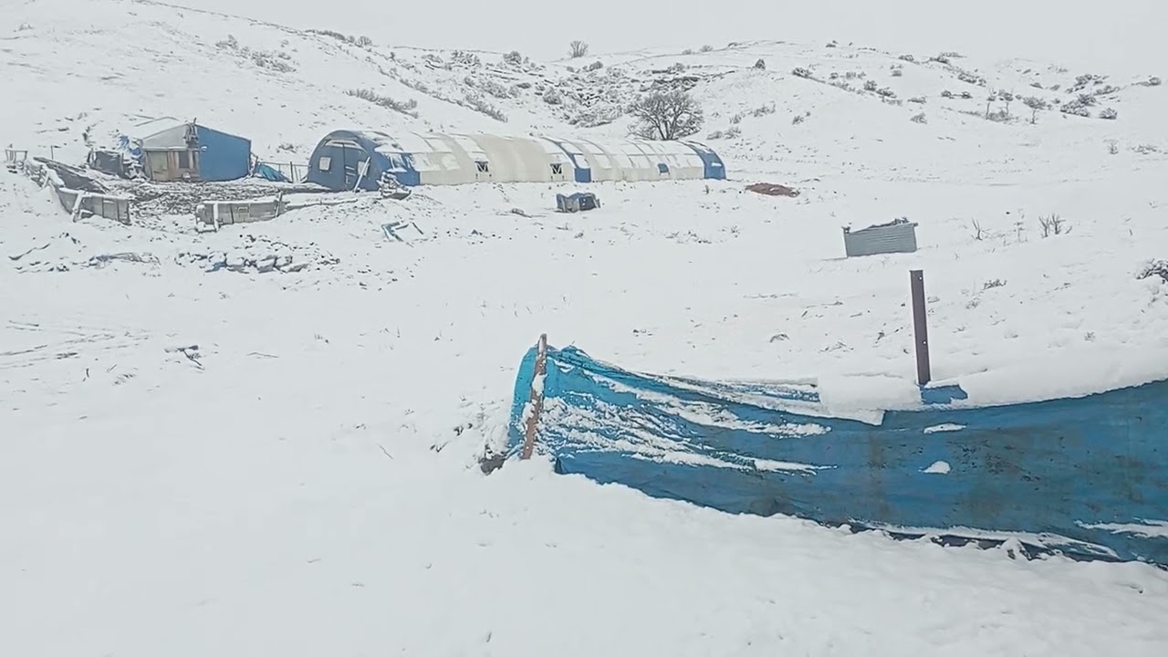 Koyunculuk yapanların yorumcu dönemi 