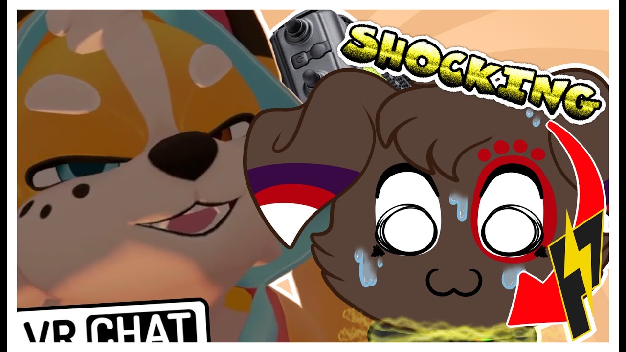 Furry buys shock collar