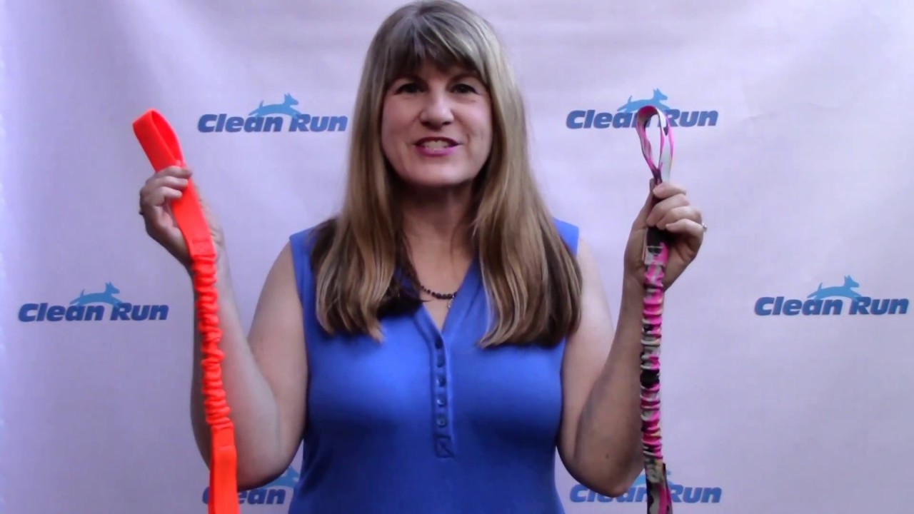 Double Handle Bungee Tug Toy for Dogs