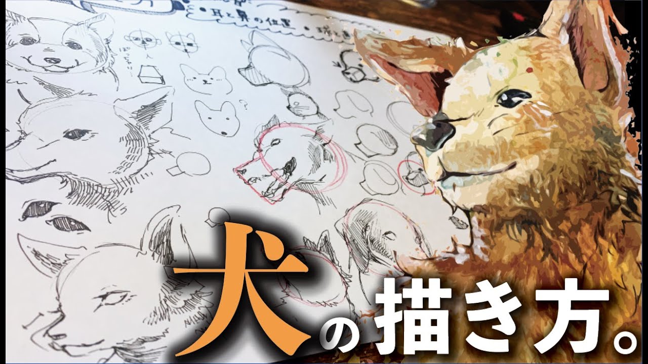 【初心者向け】犬の簡単な描き方のコツは2つだけ。
