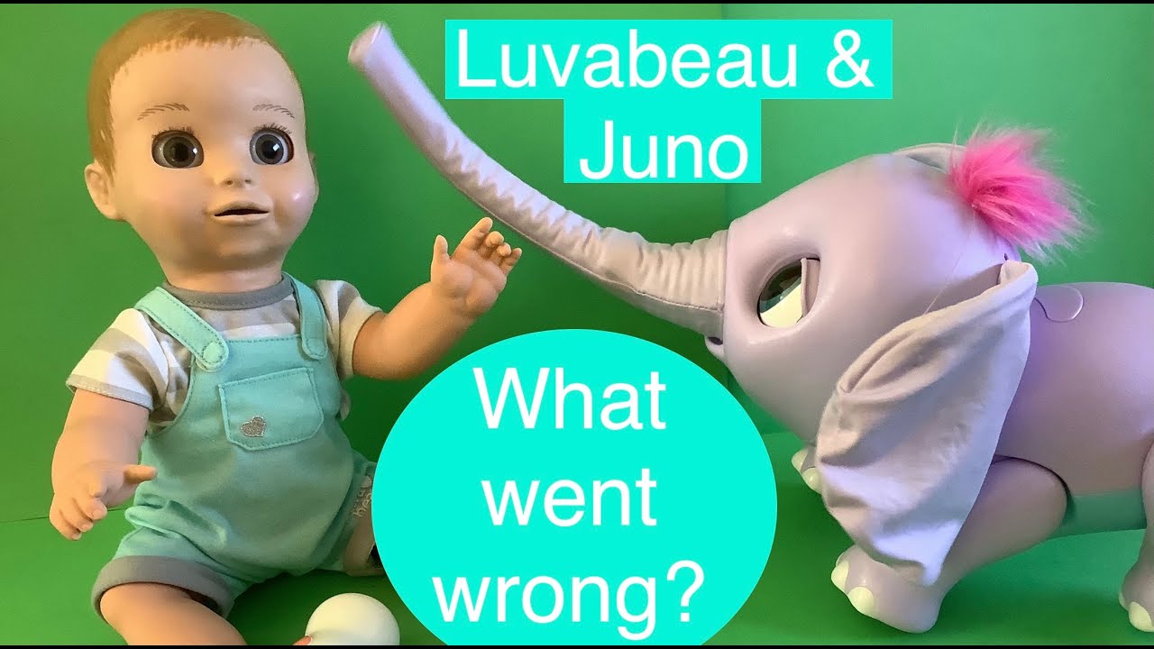 Spinmaster Luvabeau & Juno the baby elephant - what went wrong?