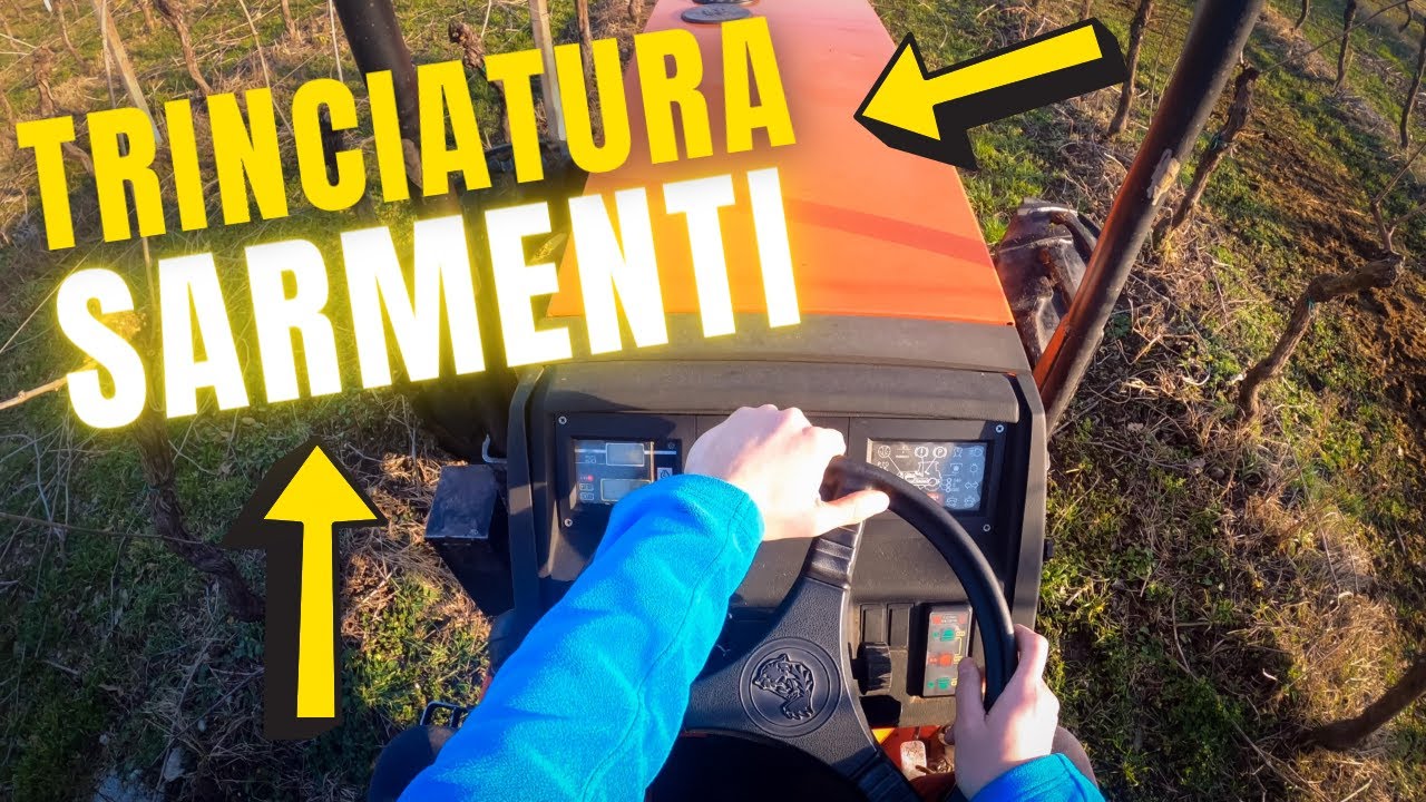 TRINCIATURA SARMENTI CAB VIEW | Same Frutteto 85 e Trincia Berti | Filips Country