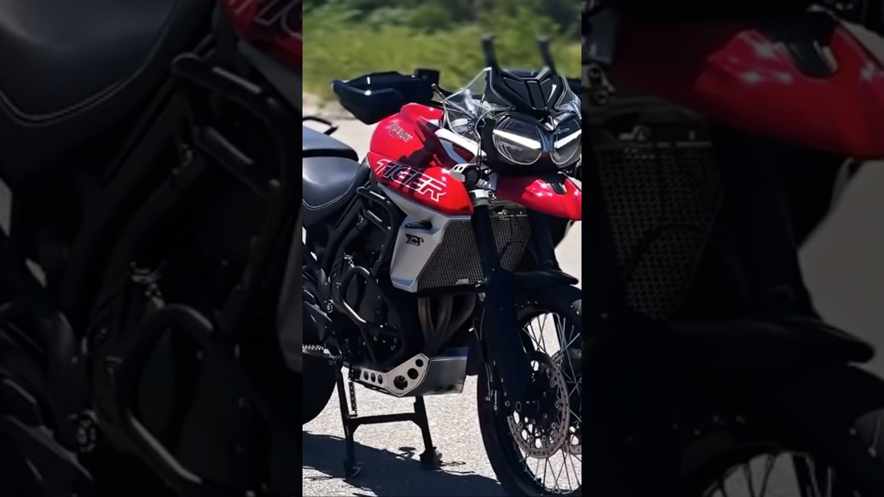 Edit Tiger Triunph🐯😍🔥#grau #bike #moto #motorcycle #triumph #tiger #edit #viralvideo #shorts
