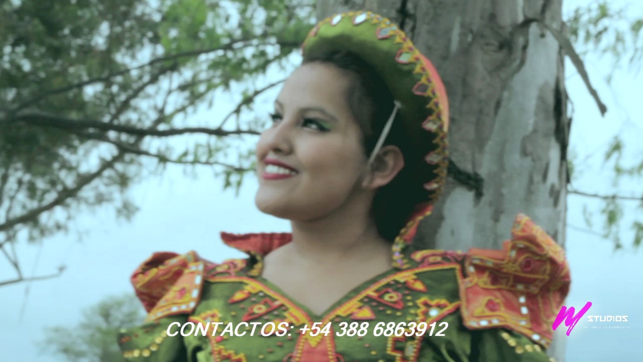 REVLION - NORTEÑITA JUJEÑITA (2017)