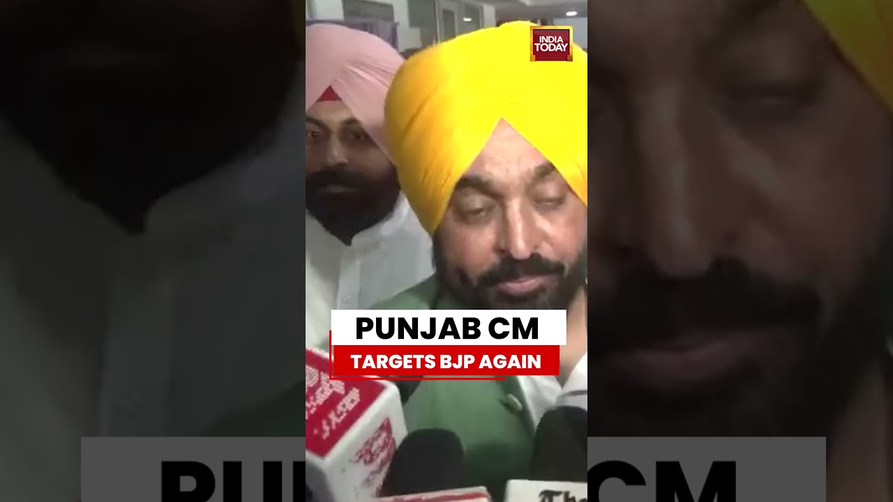Punjab CM Bhagwant Mann Distributes Appointment Letters, Targets BJP and Haryana CM