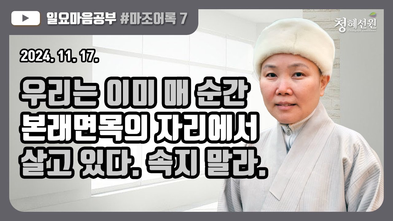 2024.11.17. [청혜선원] 일요공부ㅣ마조어록 제7회 “우리는 이미 매 순간 본래면목의 자리에서 살고 있다. 속지 말라.