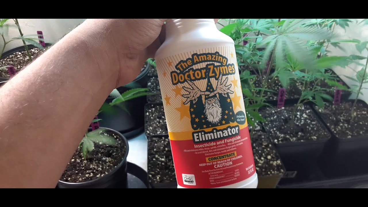 Veg Room Update + 