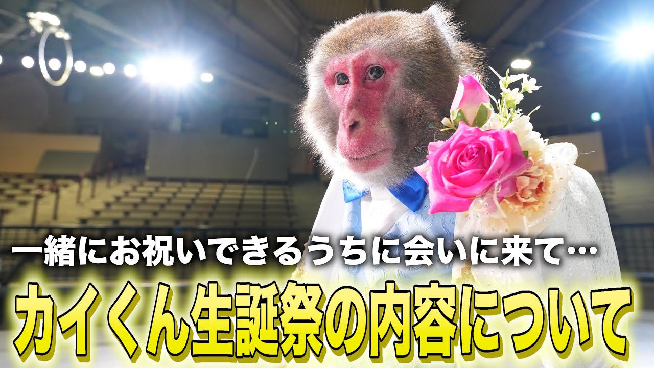 カイくんの誕生日イベントを開催します！会いに来てください！！
