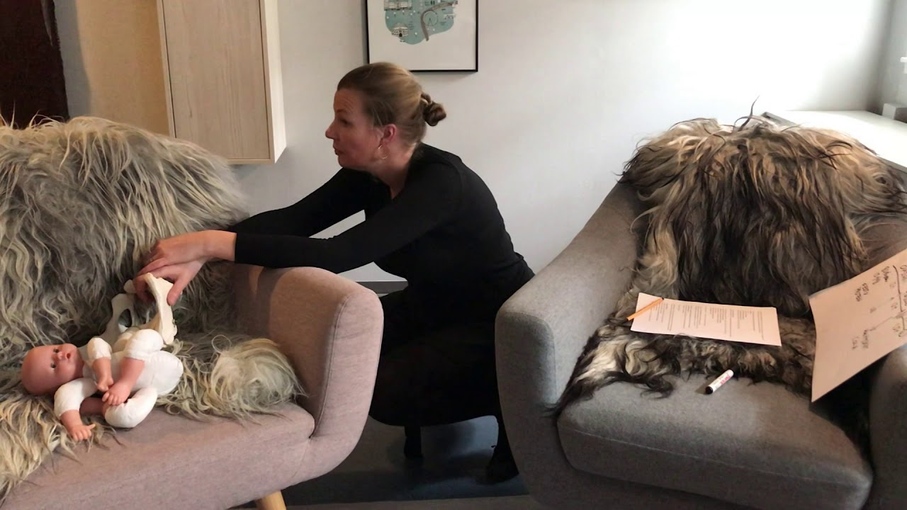 10. Overgangs- og pressefase