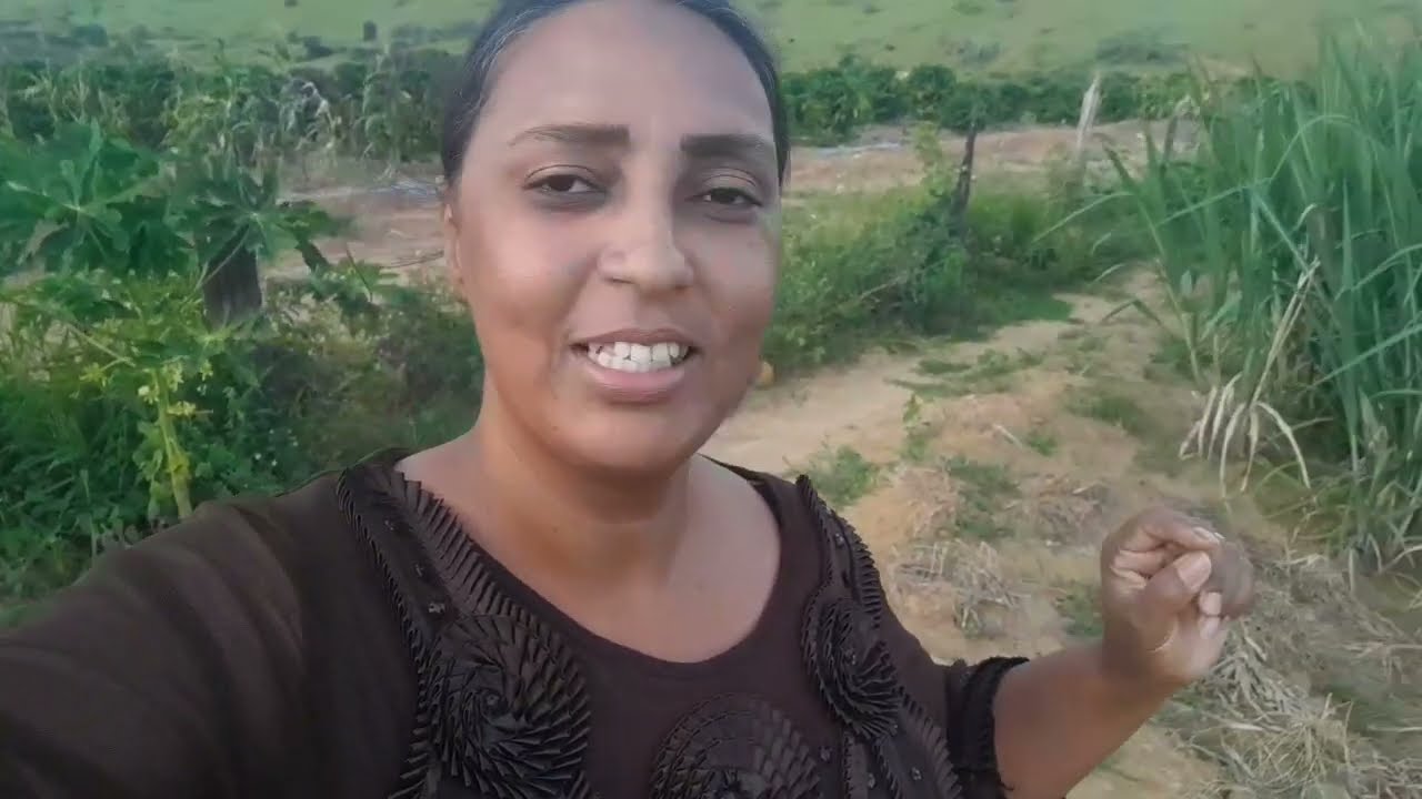 Rotina simples que dar resultado:porcos ,🐷boi ,plantação 🌾