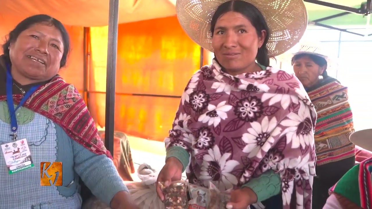 EN LLALLAGUA- POTOSI - BOLIVIA VIII EXPO FERIA DEPARTAMENTAL DE CAMELIDOS 1 PARTE