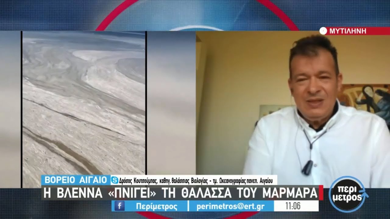 Η βλέννα «πνίγει» τη θάλασσα του Μαρμαρά