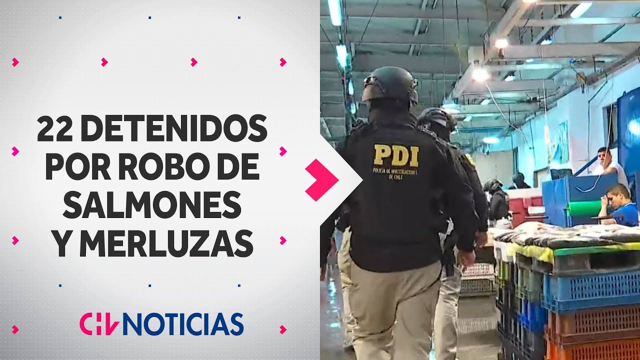 VIDEOS EXCLUSIVOS muestran operativo que dejó 22 detenidos por robo de salmones y merluzas