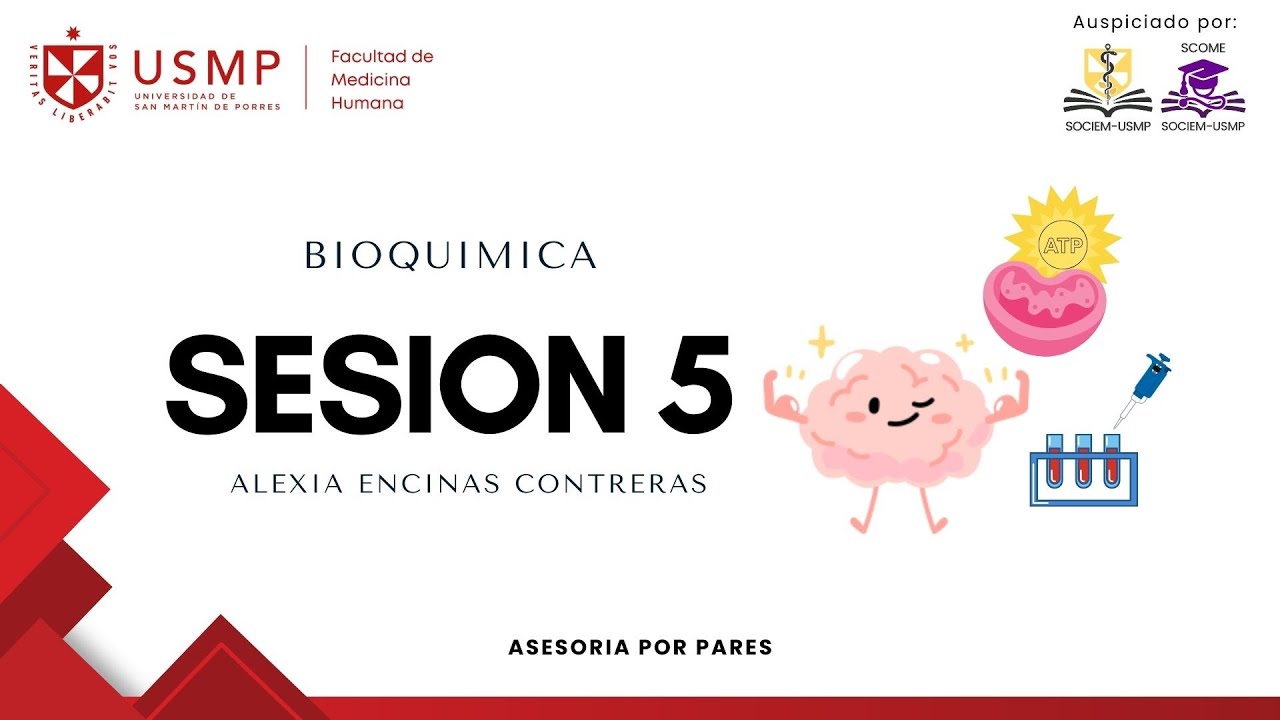 Bioquímica - Sesión 5 - Metabolismo de carbohidratos II - Alexia Encinas C - 2026-0