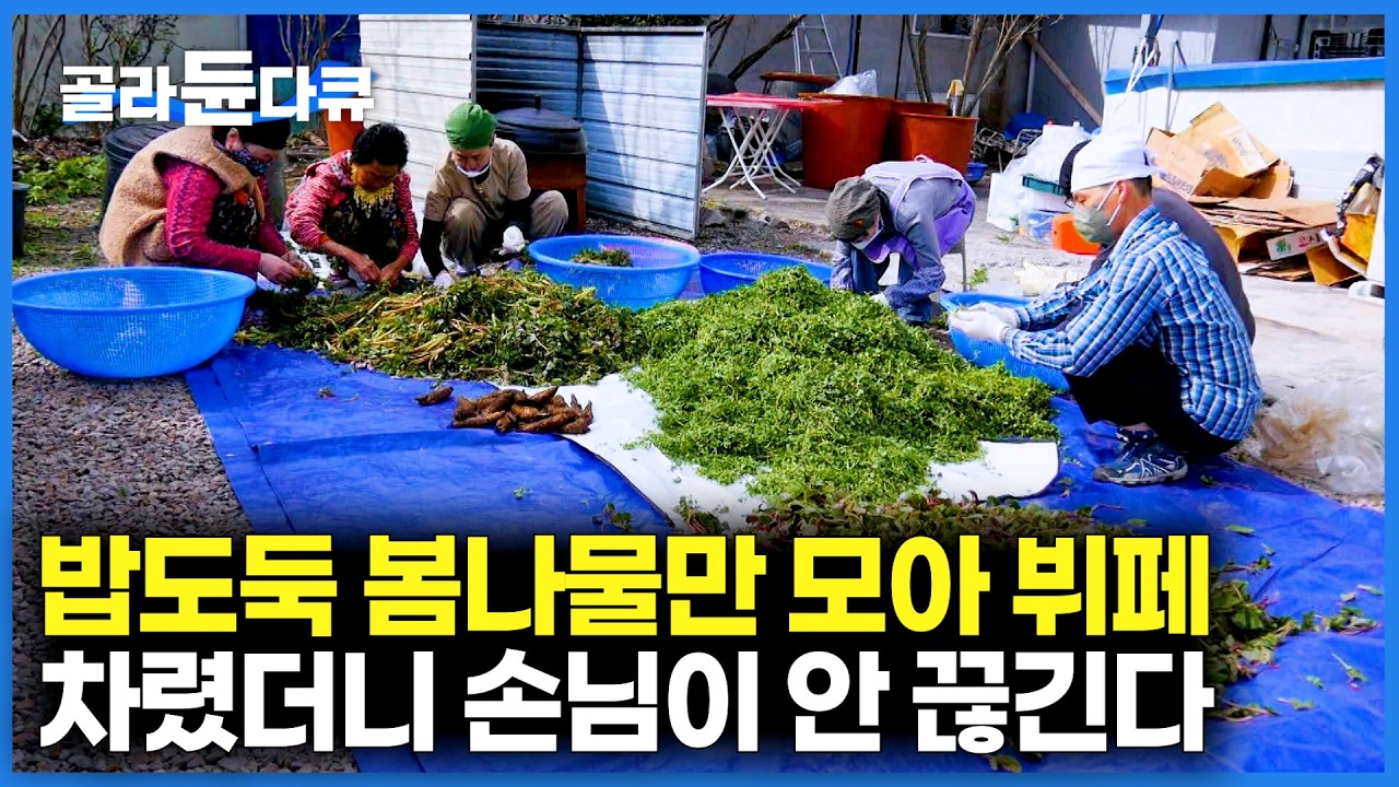 고기 없어도 이렇게 맛있을수가. 할매 입맛 제대로 저격! 지리산 약초 뜯어서 차린 뷔페 한상┃산나물 뷔페┃극한직업┃#골라듄다큐
