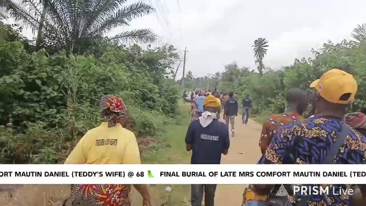 Live streaming of Badagry PARROT