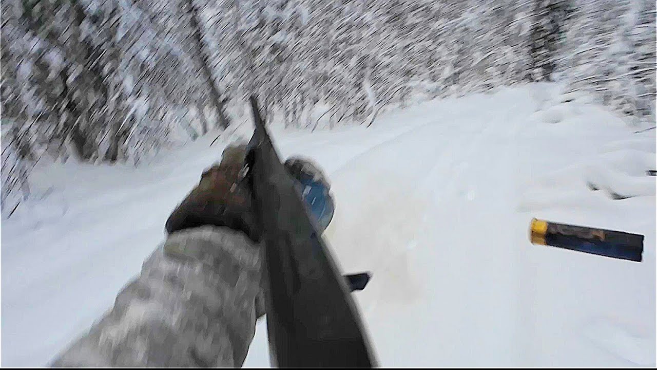 ОХОТА НА БОРОВУЮ ДИЧЬ С ЛУНОК / СЕГОДНЯ ОДНИ СЕРЫЕ ОСОБИ КАК НАЗЛО / ОДНУ ВЗЯЛ К НОВОГОДНЕМУ СТОЛУ