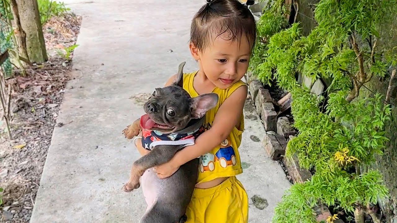 Baby Diem holding my dog ​​makes me laugh so hard | Funny Dog Video