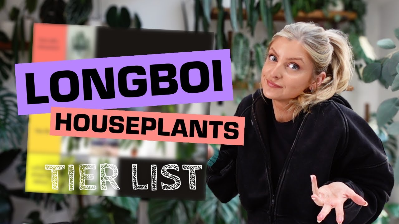 Ranking LONGBOI Houseplants! | Tier List