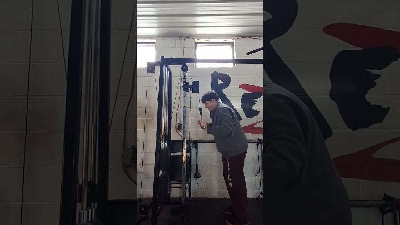 Chest day/push day (day 11)