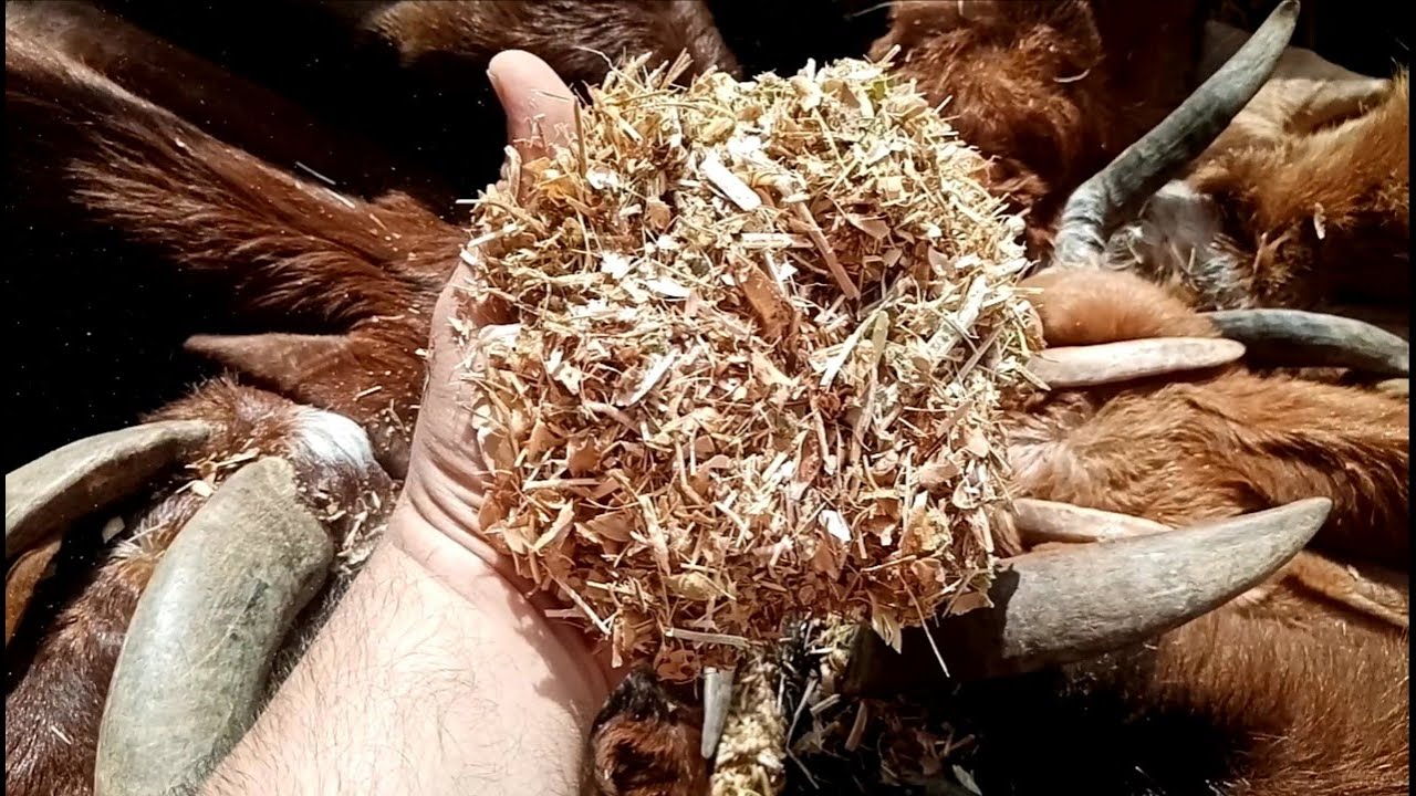 تبن فول الصويا بكل التفاصيل وحساب نسبة البروتين