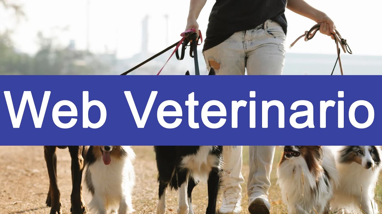 Dise&ntilde;o WEB para una Cl&iacute;nica Veterinaria