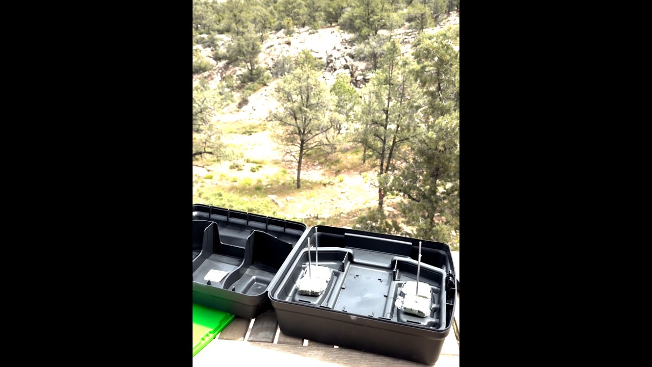 Rodent Bait Station