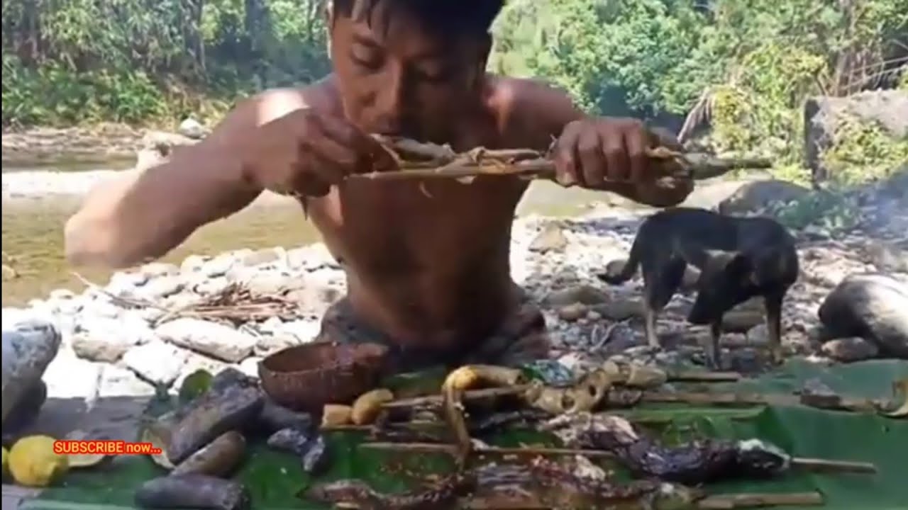 How to Find Wild eels  in Rivers: Beginner Guide to Spotting and Locating Eels in the Wild&rdquo;