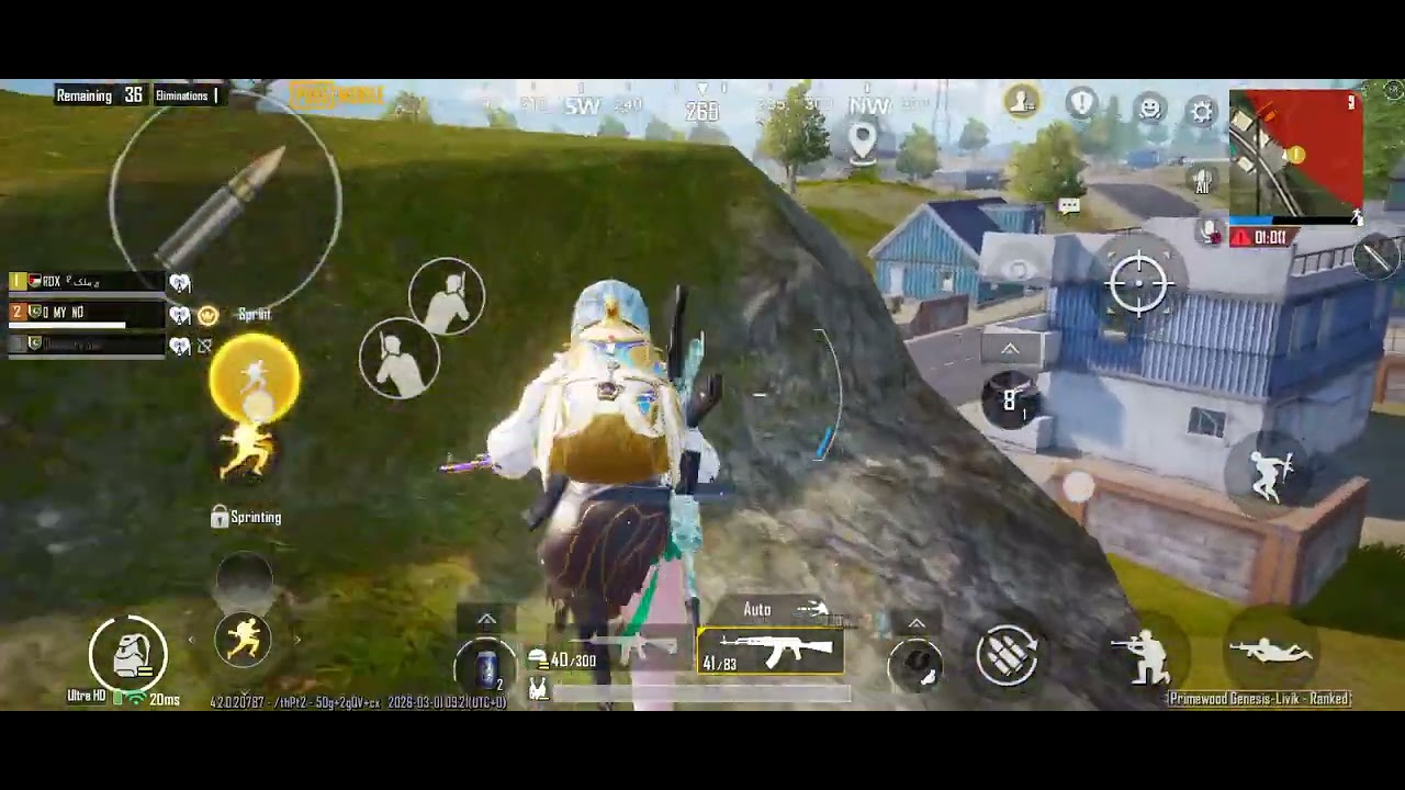 9 KILL WINNER WINNER CHICKEN DINNER#