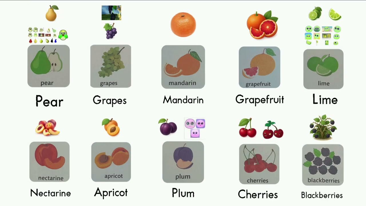 LEARN FRUITS AND NUTS VOCABULARY KIDS 