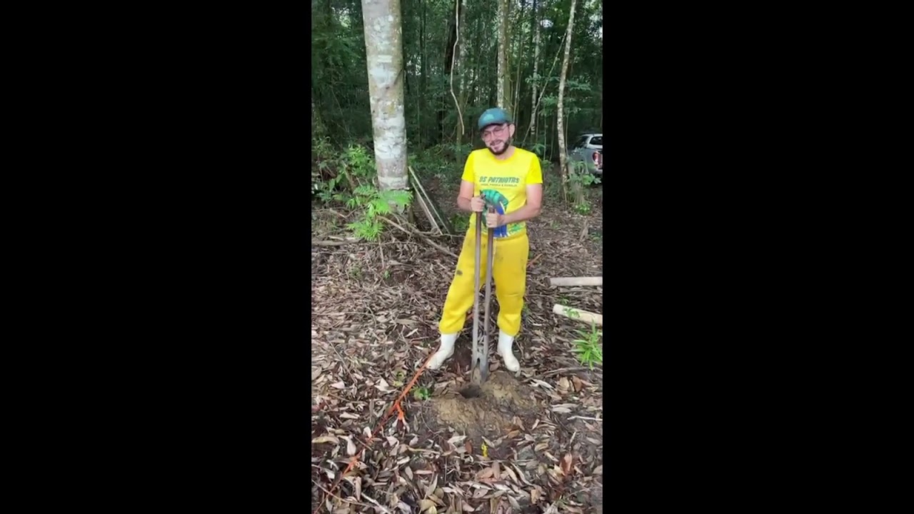 Mas um projeto do Apiário JK 