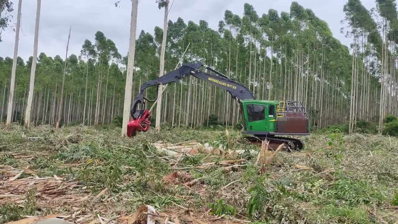#harvester #johndeere #johndeereargentina 2144 en tala rasa de #eucalyptus #eucalipto