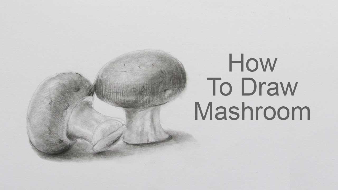 How To Draw Mushroom Step By Step: Pencil Sketch Mushroom Drawing