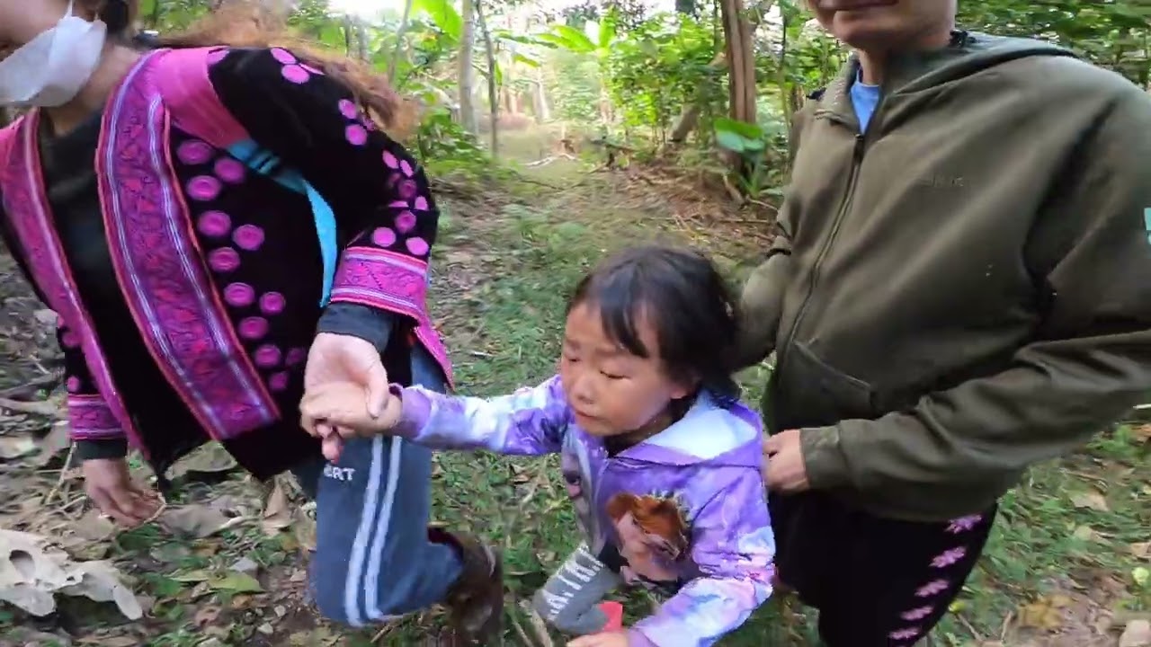เดินป่าพิชิต ยอดดอยภูคา ขุนสถาน EP.1