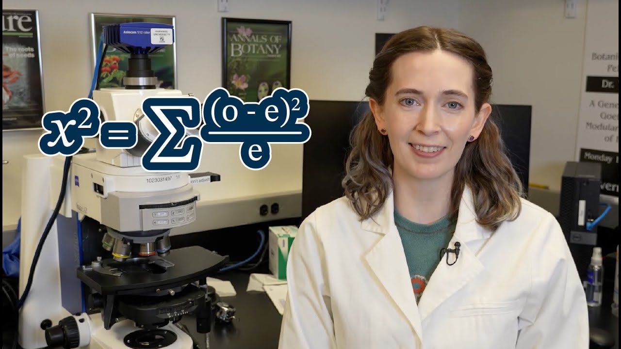 How To: Chi-square Analysis