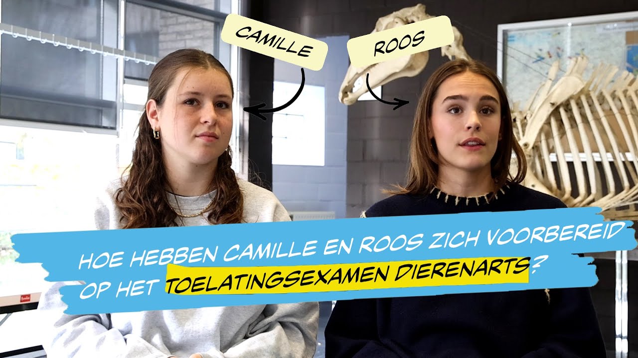 Studenten getuigen over de voorbereidende EMSA-cursus voor het toelatingsexamen dierenarts