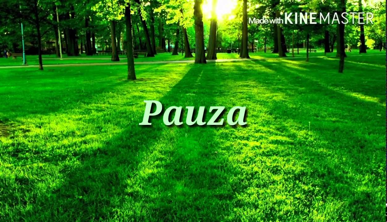 Negativ Aleluia C&acirc;ntă Azi Biserica ♡( Daniel Dinescu )