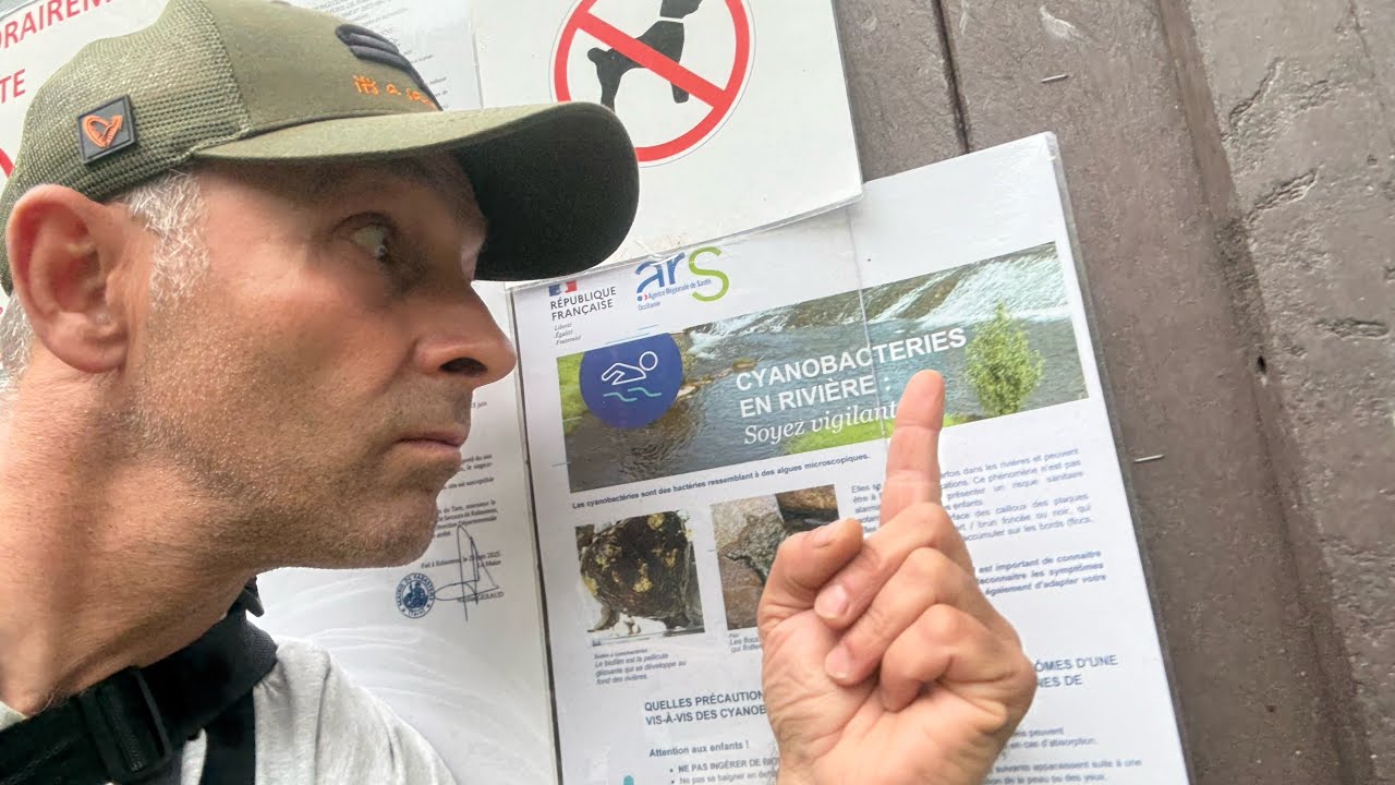 ⚠️L’HEURE est GRAVE ⚠️ PLANS D'EAU et RIVIÈRES CYANOBACTÉRIES et CORMORANS #pêche #polution #danger