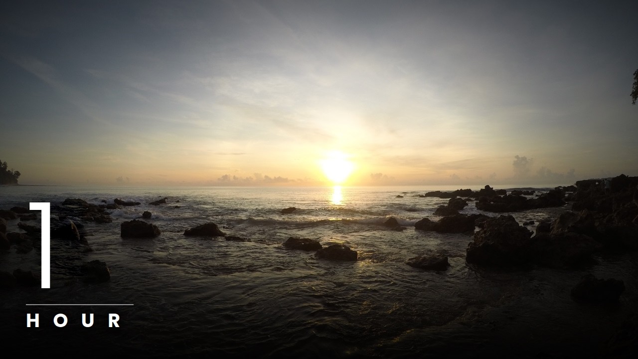 Golden Ocean Sunrise | 1 Hour Ocean Sounds for Sleep & Relaxation