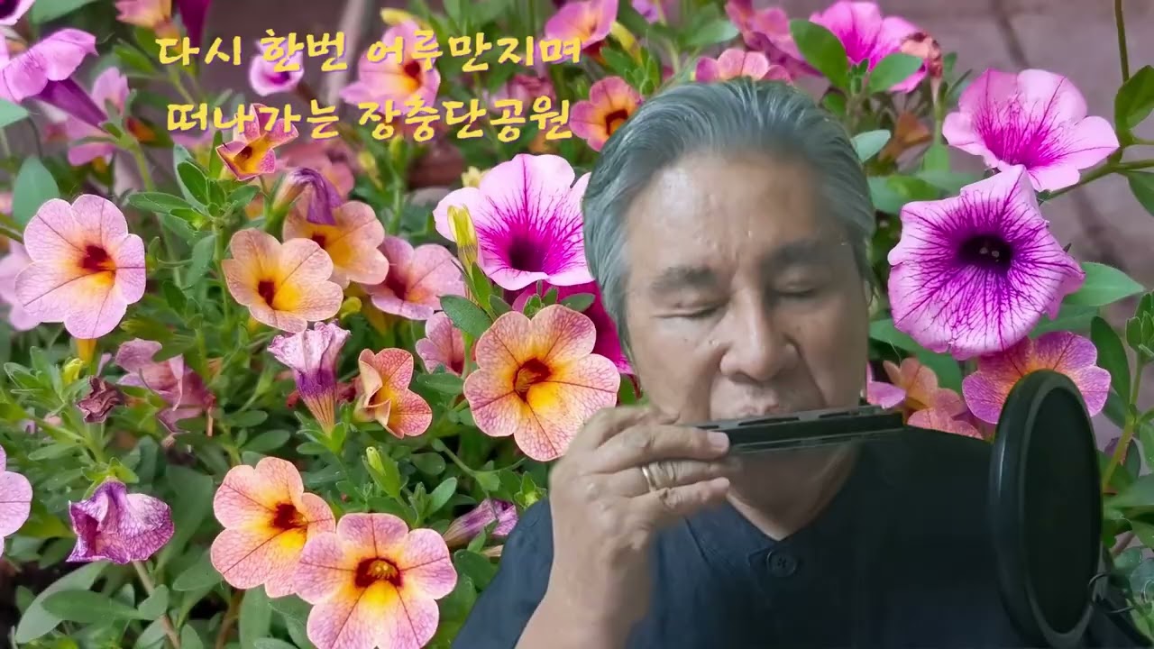 안개낀 장충단공원 - 배호 | Cover 삼봉울림