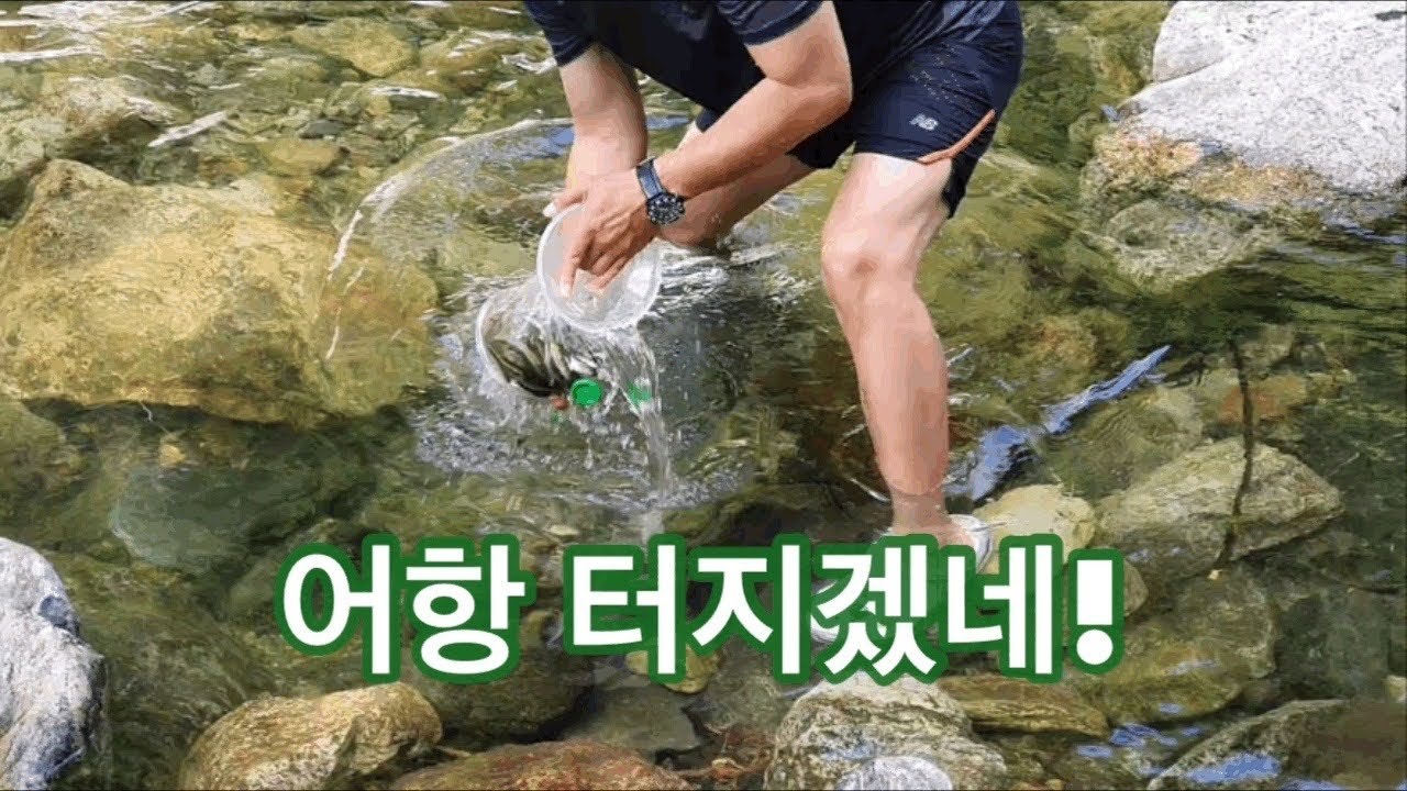 비닐어항 물고기가 이렇게 쉽게 잡힌다고?? 꼭 보시고 챙겨가세요~비닐어포기 fishbowl fish trap