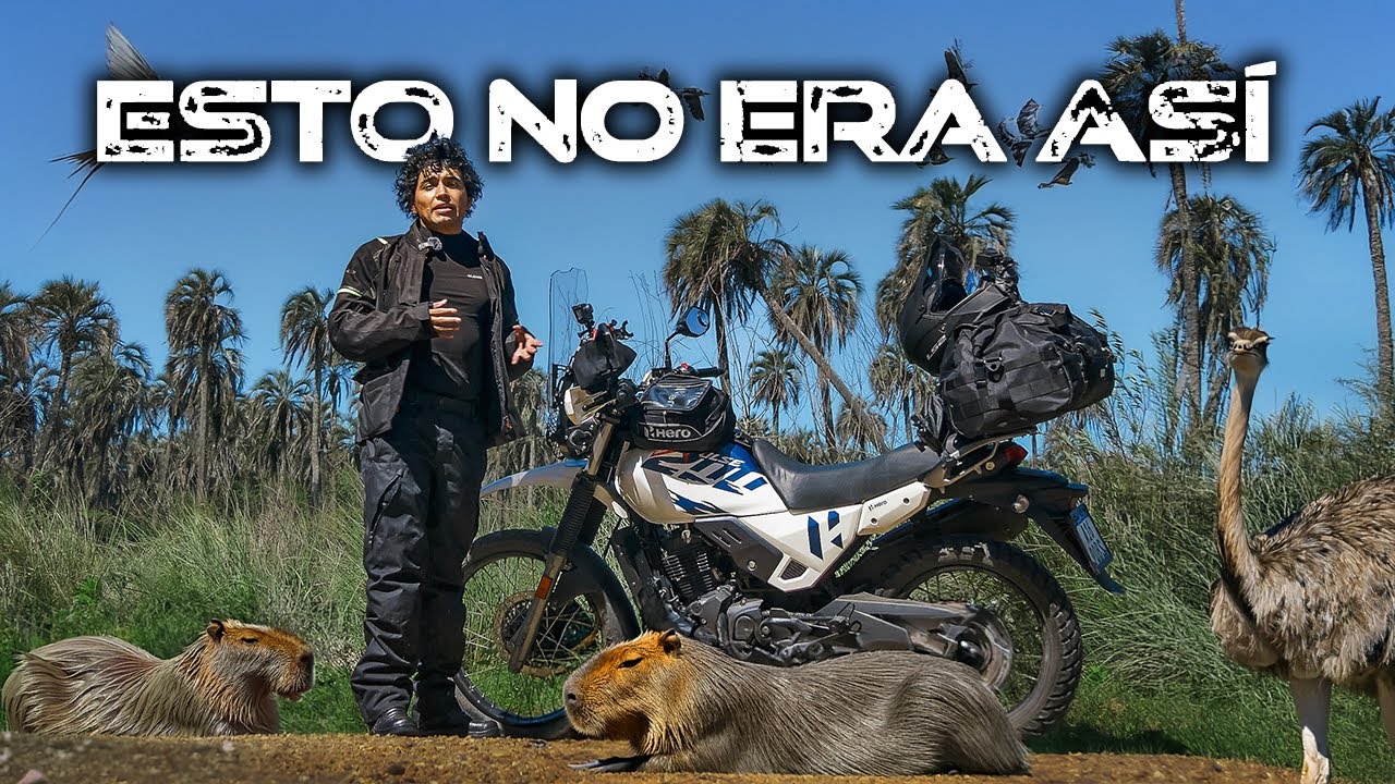 El DRASTICO CAMBIO de ÉSTE lugar 🌴 Parque Nacional El Palmar, Entre Ríos