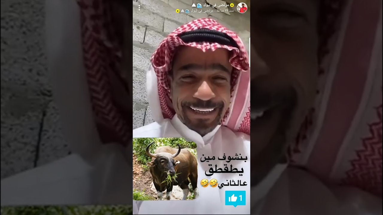 بدون إعلانات بجودة عالية #قروب_مرتضى #قروب_المزرعة #مرتضى#بودويش #النوري#زجران#سامى تاريخ 2023/2/17