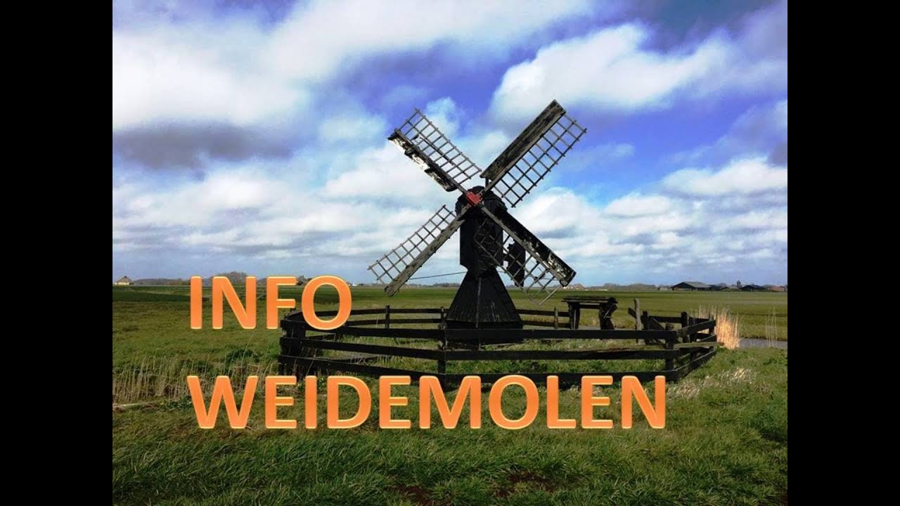 INFO: WEIDEMOLEN
