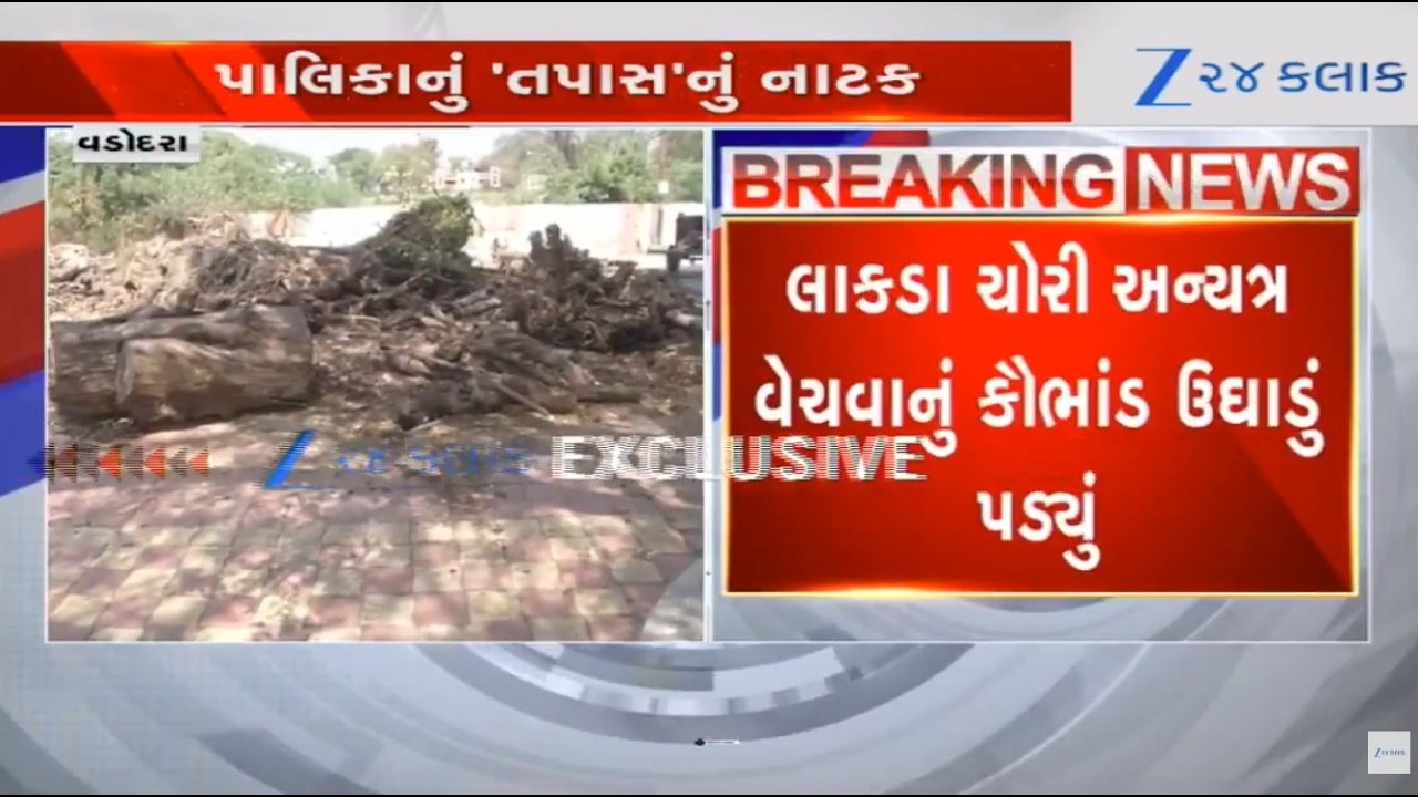 Agency persons caught by locals for stealing wood from crematorium and selling elsewhere in Vadodara