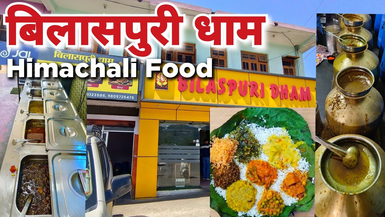 Bilaspuri Dham in Bilaspur | Himachali Dham | Himachali Food Tour हिमाचल का traditional खाना
